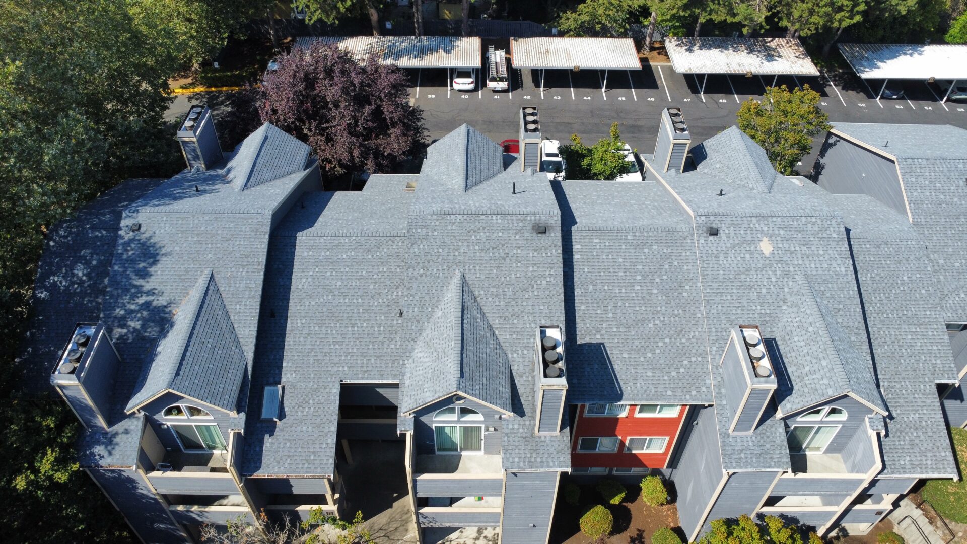 Composition Shingles Photo Gallery project in the Seattle area by K Single Corp, photo 15 of 58