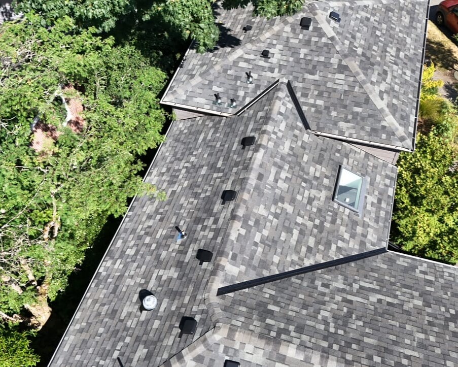Aerial view of a house roof with dark gray shingles, multiple vents, a skylight, and surrounded by green trees and shrubs. A red vehicle is partially visible on the street.