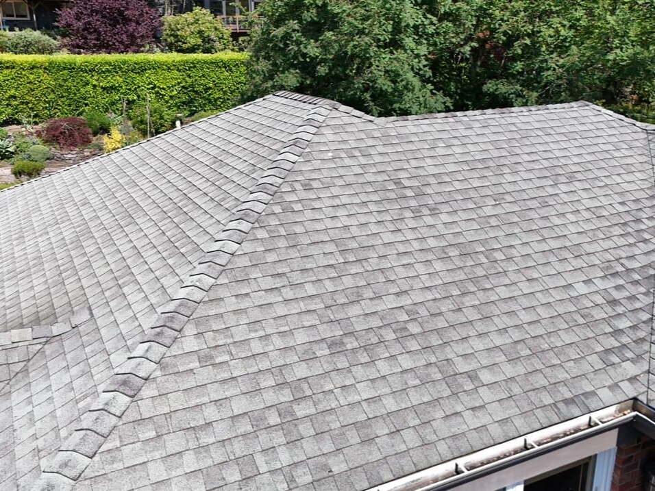 A close-up view of a grey shingle roof with multiple ridges, next to a brick chimney, with a green garden and bushes in the background.