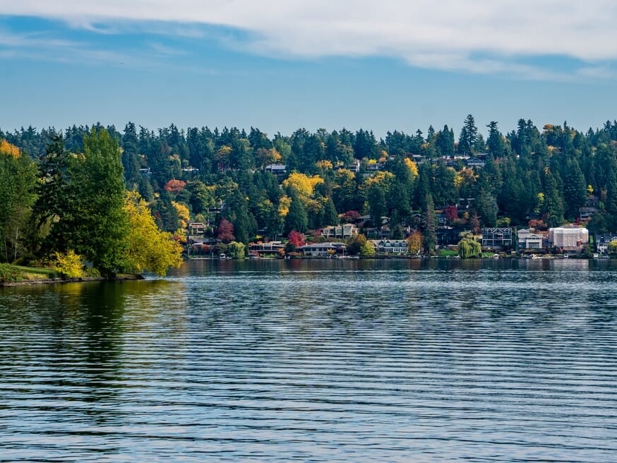 A calm lake with gentle ripples, bordered by trees with green and autumn-colored leaves. Houses and more trees are visible on the hill in the background under a partly cloudy sky.