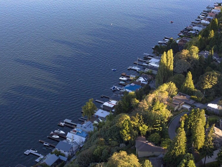 Aerial view of lakeside homes with docks and boats along the shoreline, surrounded by dense green trees, and calm blue water stretching out to the left.